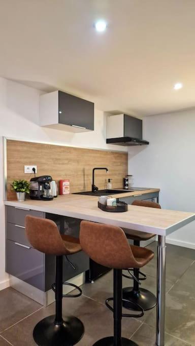 L'Atelier B Magnifique Loft Avec Terrasse Privee Daire Saint-Etienne  Dış mekan fotoğraf